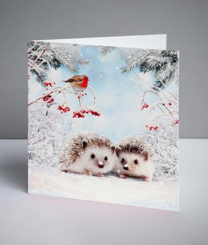 Festive Prickly Friends Christmas Cards, Pack of 10