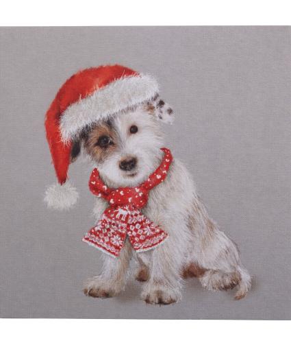 Dennis Dressed Up Christmas Cards - Pack of 10
