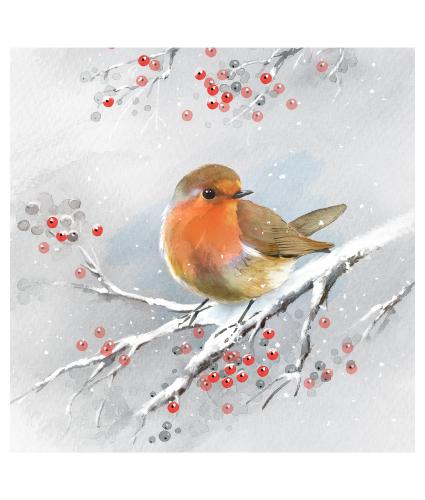 Robin on a Branch Christmas Cards - Pack of 10