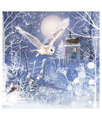 Flight of the Owl Christmas Cards - Pack of 10