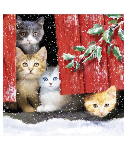 Peeking Through The Door Christmas Cards - Pack of 10