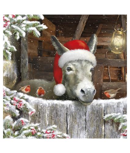 Festive Donkey Welsh Christmas Cards - Pack of 10