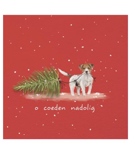 Oh Christmas Tree Welsh Bilingual Christmas Cards - Pack of 10 / O Coeden Nadolig Cardiau Nadolig Dwyieithog - Pecyn o 10