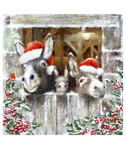 Donkey Trio Christmas Cards - Pack of 10