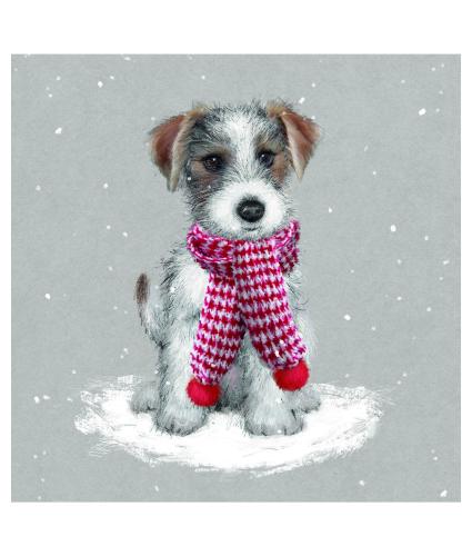 Jack's Scarf Christmas Cards - Pack of 10