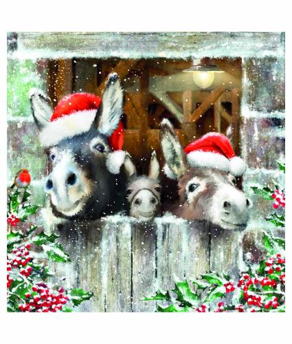 Donkey Trio Welsh Bilingual Christmas Cards - Pack of 10