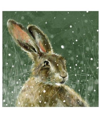 Hare In Midwinter Christmas Cards - Pack of 10