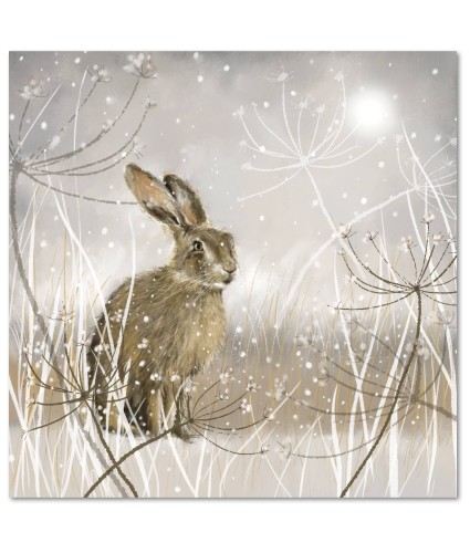 Atmospheric Hare Christmas Cards - Pack of 10