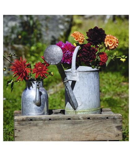 Floral Watering Cans Greetings Card
