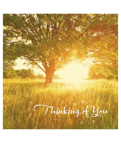 Meadow Thinking Of You Greetings Card