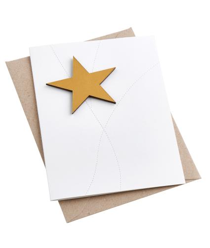 Artbox Recycled Leather Star Magnet Card in Gold