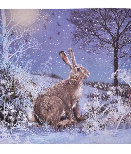 Majestic Hare Christmas Cards - Pack of 20