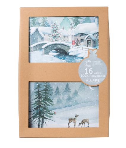 Winter Watercolour Scenes Duo Recyclable Christmas Cards - Pack of 16