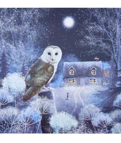 Wise Owl Christmas Cards - Pack of 20