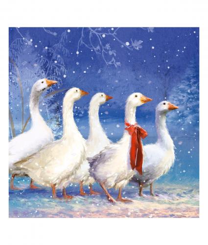 winter geese cancer research uk christmas card