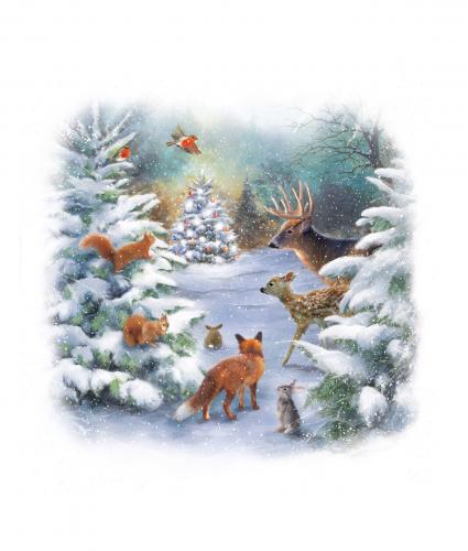 woodland christmas cancer research uk christmas card 