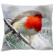 robin large cushion cancer research uk christmas gift 