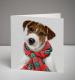 All Wrapped Up Christmas Cards, Pack of 10