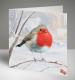 Robin Christmas Cards, Pack of 20