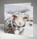 Fergus the Sheep Returns Christmas Cards, Pack of 10