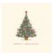 Twinkly Tree Christmas Cards - Pack of 10