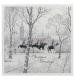 Horses In The Park Christmas Cards - Pack of 10