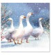 Gaggle of Geese Christmas Cards - Pack of 10