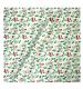 Tom Smith Festive Robin & Holly Wrapping Paper