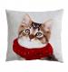 Winter Cat Cushion - Small