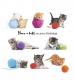 Playful Kittens Birthday Card