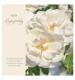 White Flower Memories Greetings Card
