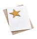 Artbox Recycled Leather Star Magnet Card in Gold