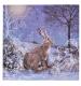 Majestic Hare Christmas Cards - Pack of 20
