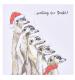 Meerkat's Looking Out For Santa Christmas Cards - Pack of 10