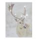 stag mounted print cancer research uk christmas card