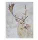 stag mounted print cancer research uk christmas card 