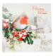 Winter Robin Festive Wishes Christmas Cards - Pack of 20