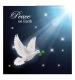 stunning dove cancer research uk christmas card 