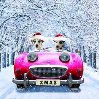 chip and charlie bi-lingual cancer research uk christmas card 