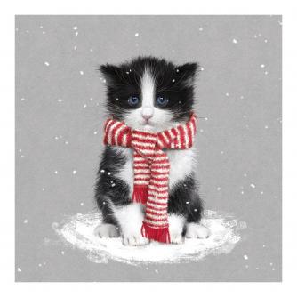 Christmas Cute Kitten Christmas Cards - Pack of 10