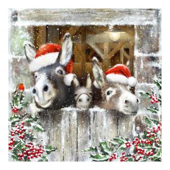 Donkey Trio Christmas Cards - Pack of 10