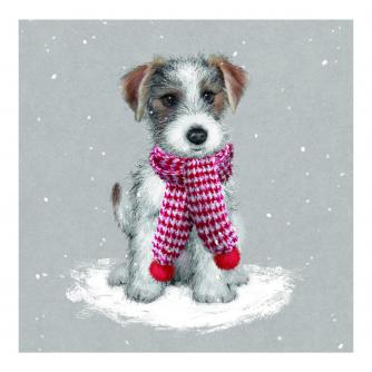 Jack's Scarf Christmas Cards - Pack of 10