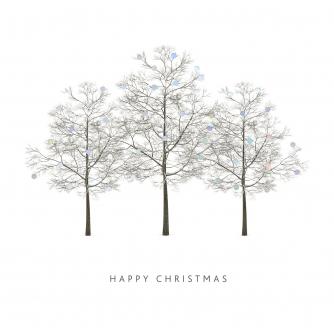 Symphony of Trees Christmas Cards - Pack of 20