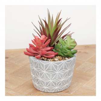 Artificial Pink and Green Succulent Plant in Triangle Pattern Pot