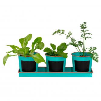 Kids Vegetable Gardening Pots & Seeds Set