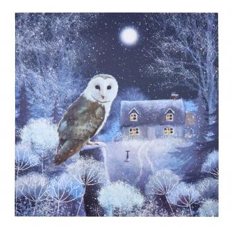 Wise Owl Christmas Cards - Pack of 20